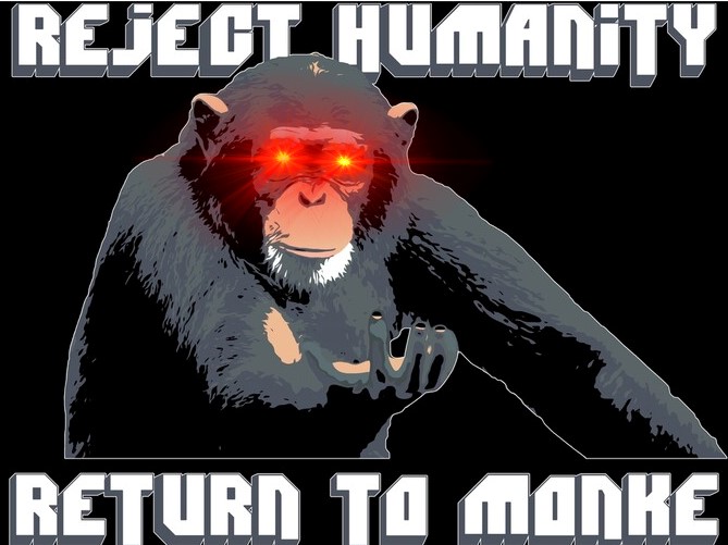 Monke (@monketokenO_O) / Posts / X