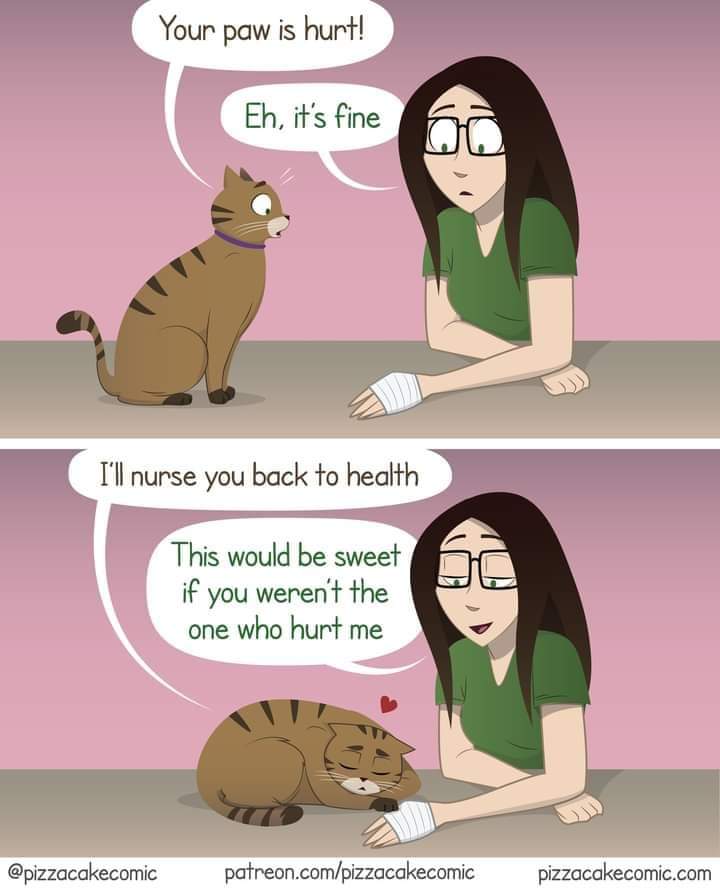 I'm in a toxic relationship with my cat. I love the unhinged little weirdo though.