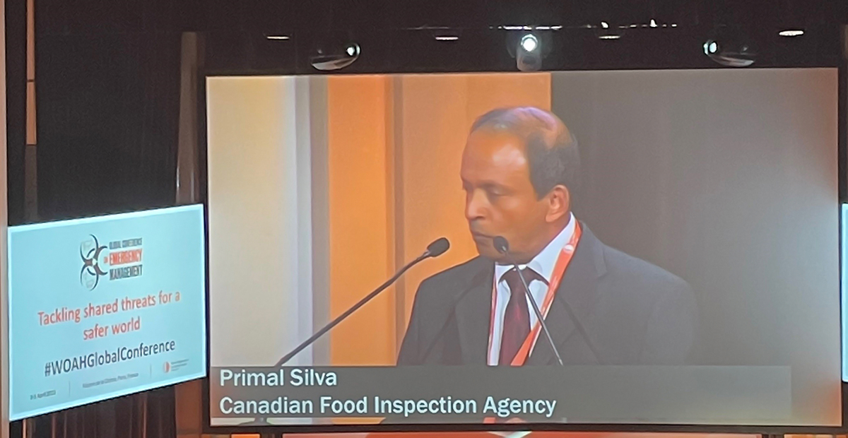 InspectionCan's tweet photo. 1/2 #ICYMI Dr. Primal Silva was at the #WOAHGlobalConference on #EmergencyManagement earlier this month highlighting innovation in #CFIAScience, including the work of the Biosafety Level 4 Zoonotic Laboratory Network (#BSL4ZNet).
@WOAH
https://t.co/L8KLXbAsIz https://t.co/i4NVRoWTST