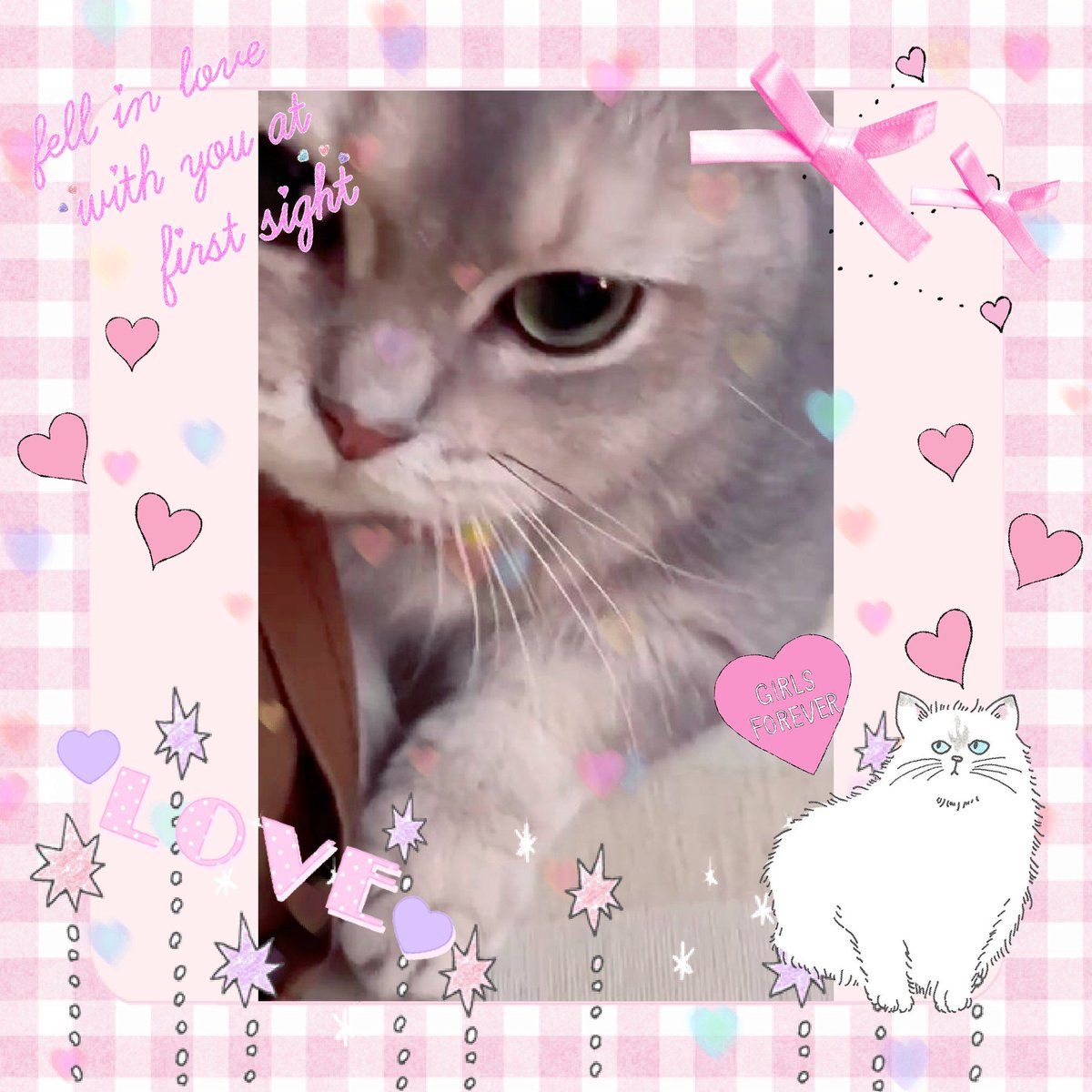 10dew30's tweet photo. Hi✋Hina-chanお元気そうで何よりです😺
MasterDew大忙しだから癒してあげてね💗
#GoodDewNight🌠
#dew_jsu @dew_jsu https://t.co/dleLtupY6l