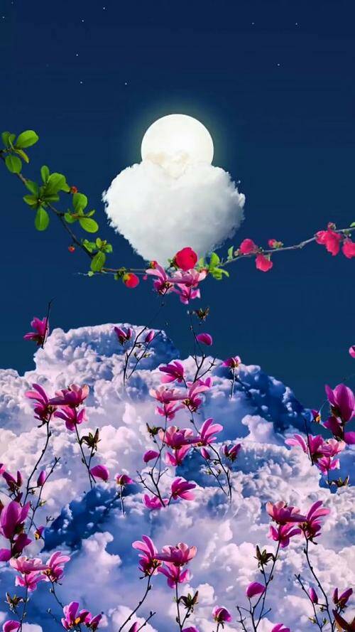 ☁️
𝟚𝟛₀₄𝟏𝟗 

☁️🌕🌼☁️
Dichosos son los ojos que te ven y afortunado el corazón que te tiene.
*Noah Johnson