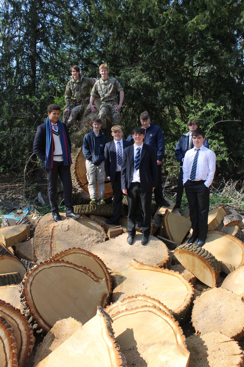 ChrisHJones1's tweet photo. @BSIckwell Miss Bell plants a tree to recognise her contribution to the reserve.
The boys line up next weeks task--Shifting "Log Armageddon" https://t.co/lt16uRwdB3