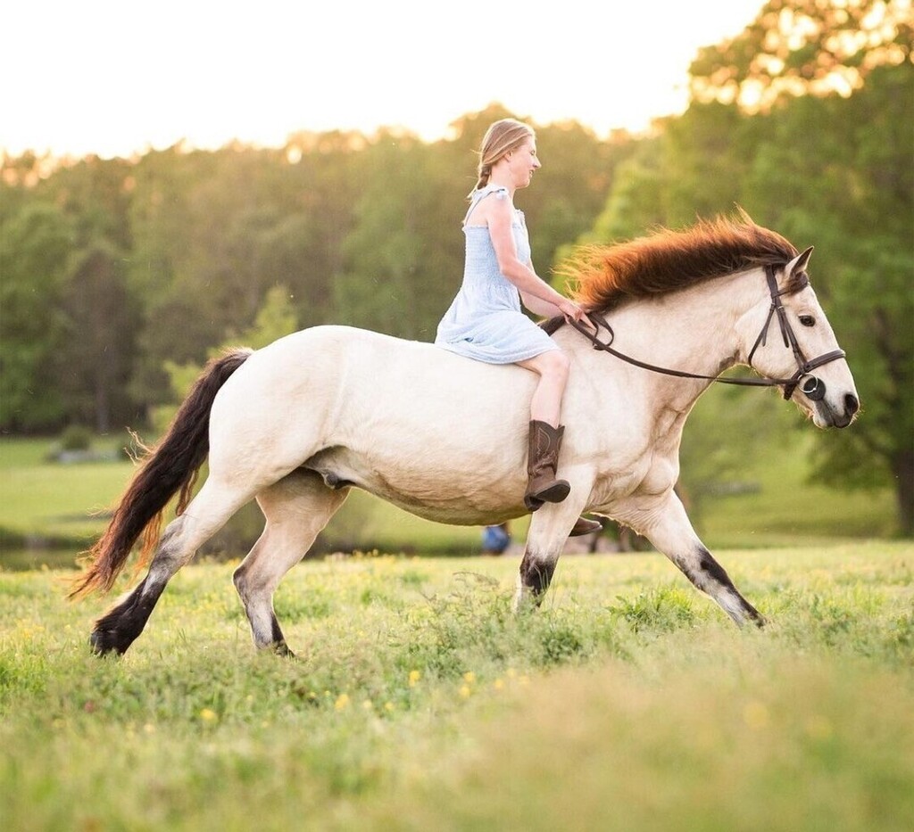 cowboymagic's tweet photo. 🌟Wow Power Wednesday🌟
Photos by @caitlyn.andresen.photography
Share your #wowpower photos with us!
•
"Emily+Diesel
I loved all the yellow flowers at the ark! They made for a amazing photo!"
#cowboymagic #horse #horses #instahorses #horselife #horse… https://t.co/2VEBu1v4uJ https://t.co/kDt51KPAxM