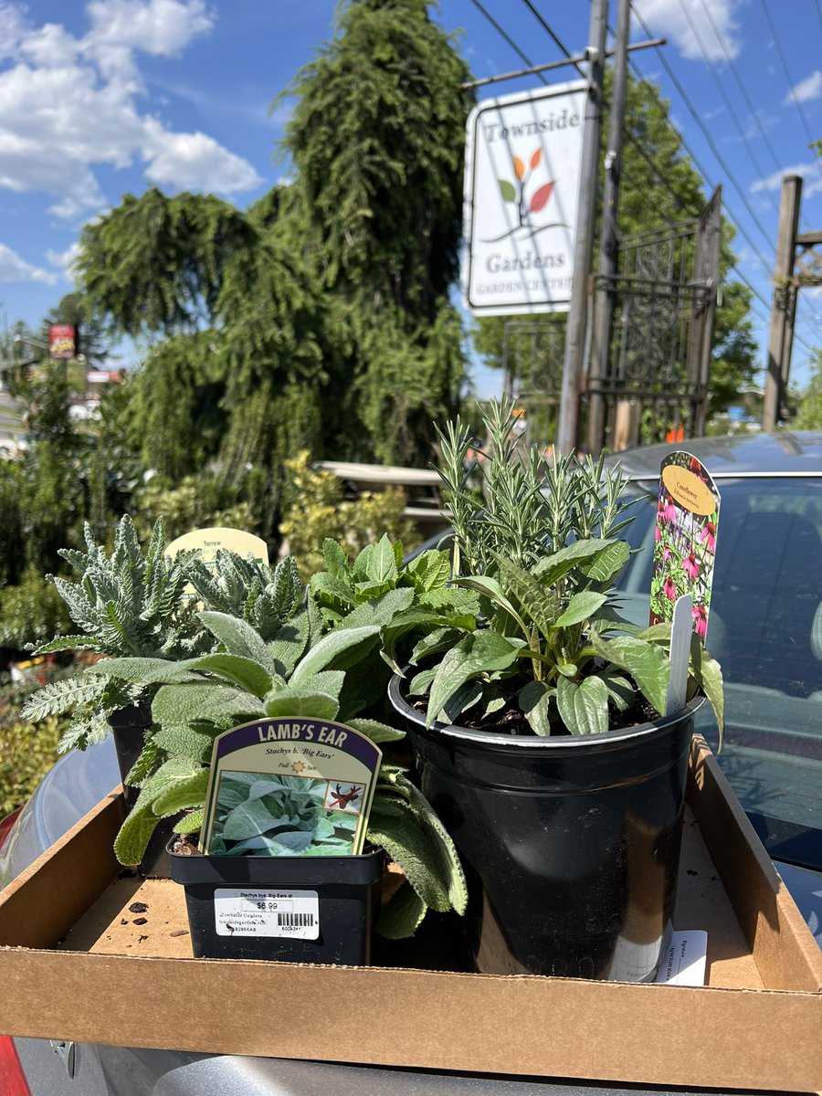 Look_its_Rhonda's tweet image. “I’ll just stop in and have a look around. I won’t but anything though!”

Ten minutes later…*walk out with half the store*

#crazyplantlady  #GardenLover
