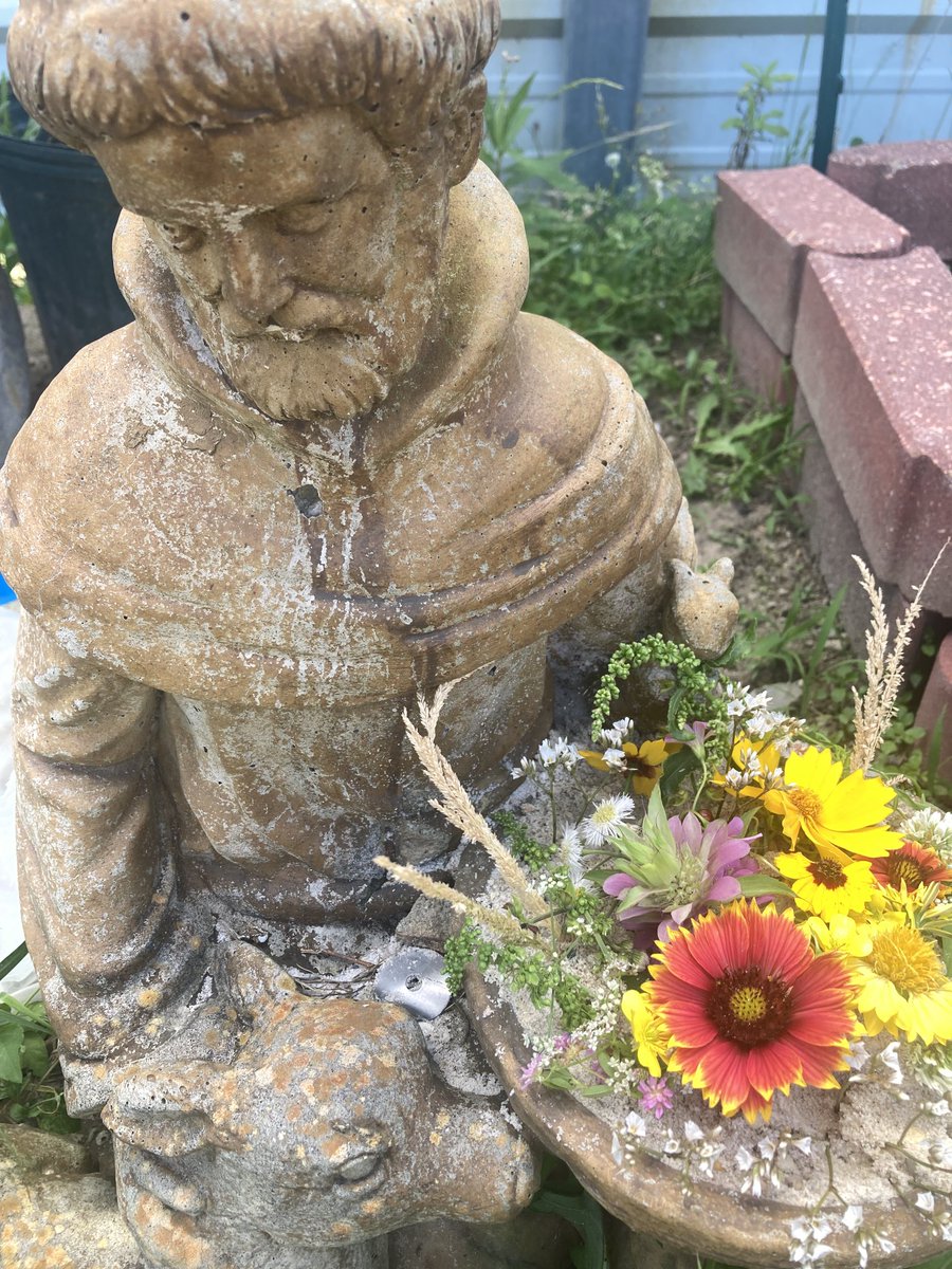 STM Env Science tweet media