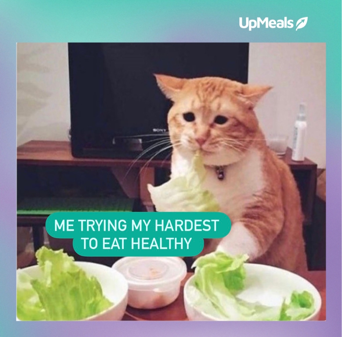 UpMeals's tweet image. 🥵 Who says healthy eating has to be hard? With UpMeals, you can have a wide variety of yummy, nourishing meals that make it easy to eat well every day! 🥗🍎

#simpleandeasy #UpMeals