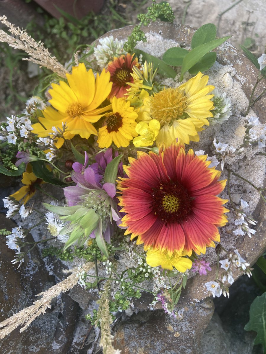 STM Env Science tweet media