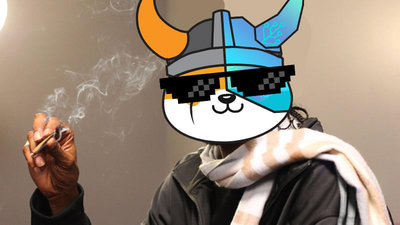 NOVA PEPE tweet media