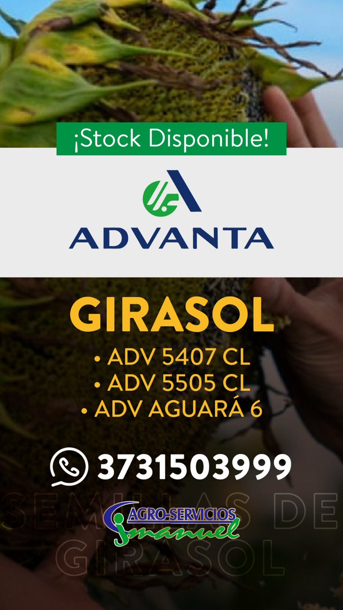 La precampaña ya esta disponible!!!