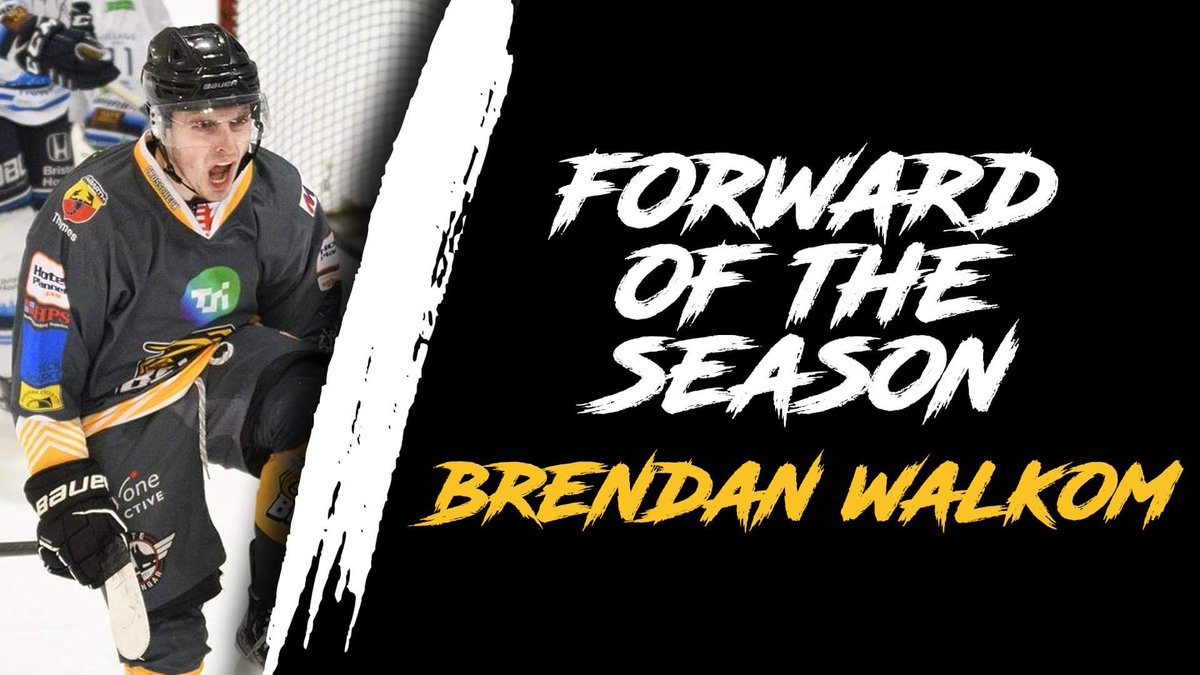 TSI World Berkshire Bees tweet media