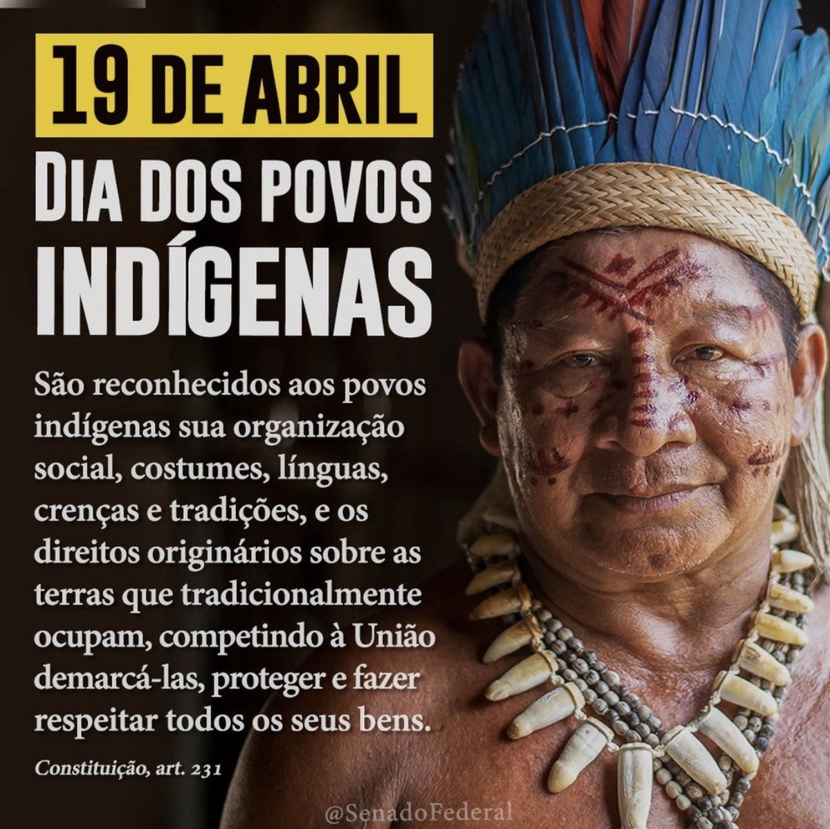 francimarf's tweet photo. 🇧🇷 https://t.co/DMgj32w50R