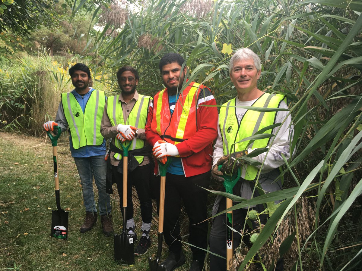 secondmarsh's tweet photo. SAVE THE DATE - Volunteers needed! Friends of Second Marsh is getting the Let's De-Phrag the Marsh! Project underway and we need help to remove Phragmites. Our first event will be on Saturday May 13th. More info to come soon. #Phragmites #GLLAF @oshawacity @DavidPiccini https://t.co/gotqki4Ivb