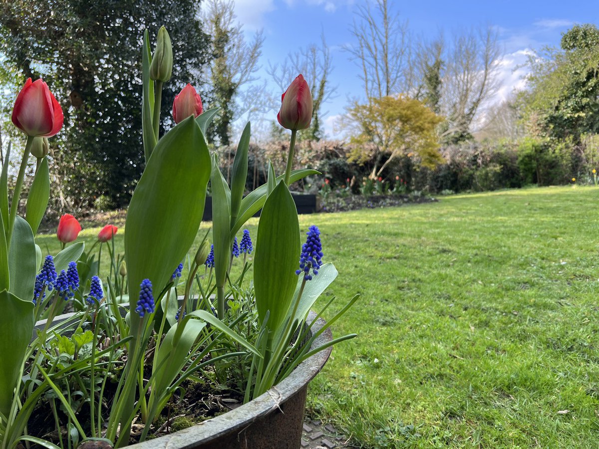 HollybushStudio's tweet photo. Mowed the lawn for the first time last weekend. Spring is well and truly here! #firstmow #spring23 #hollybushstudio https://t.co/6K266YWjoE