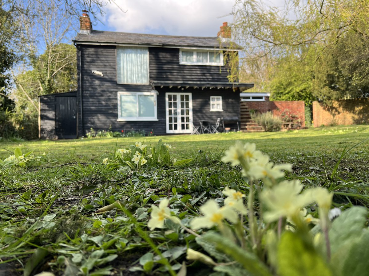 HollybushStudio's tweet photo. Mowed the lawn for the first time last weekend. Spring is well and truly here! #firstmow #spring23 #hollybushstudio https://t.co/6K266YWjoE
