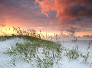 Alligator_Point's tweet photo. Want to have fun in the sun in #Florida? Florida beaches are the best; relax on one in a beautiful Alligator Point Beach Rental this summer! https://t.co/DDLgPKPy9A https://t.co/6Qb5CTERuo