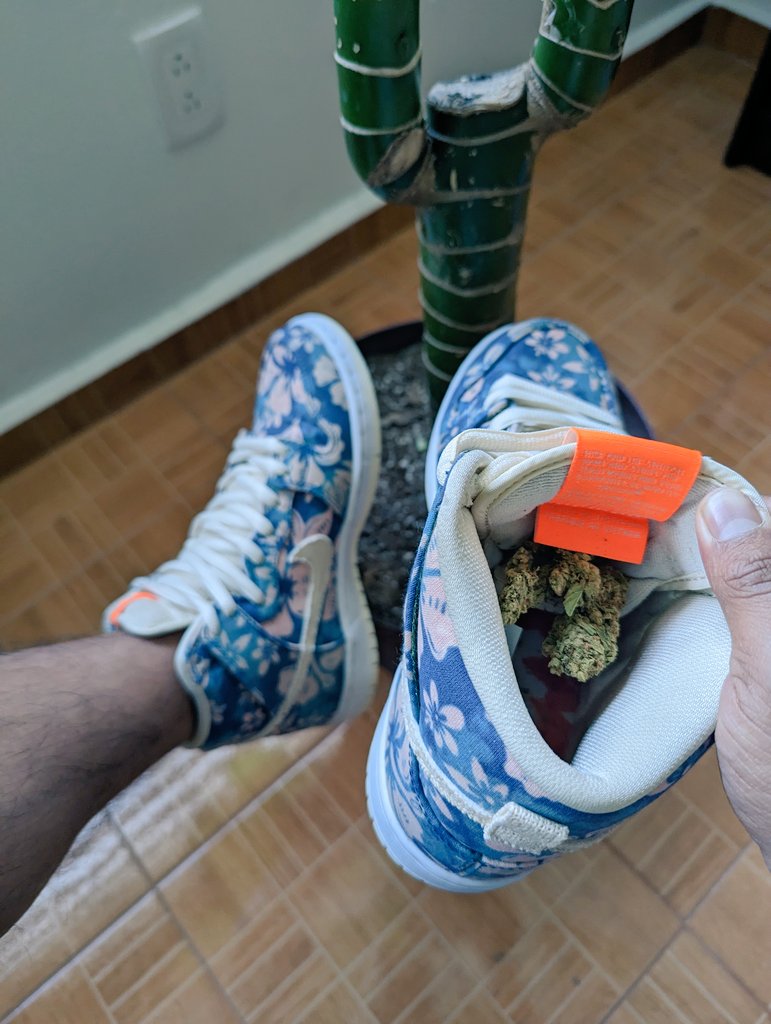 moonsmileh's tweet photo. @atmos_usa Nike SB Dunk High Hawaii 🌺 Let's go to listen Bob Marley's music 🌴☮️

Size 6 #atmoscollectorsclub #atmosweb https://t.co/mRtRdUg1Di