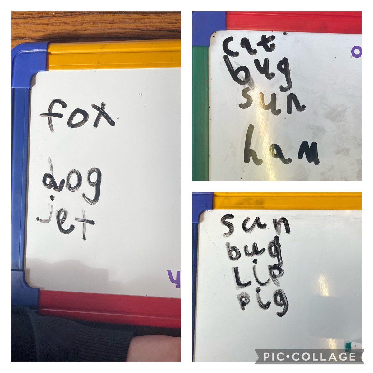 MrsGelston's tweet photo. Spin & Spell, CVC fun in P1. Thank you @missriggio for letting me use your @IKEAUK spinning wheel. My class loved this activity. Definitely going to buy one next time @IKEAUK #learning #p1a #literacy #literacygames #literacymatters #phonics #cvcgame #ikeahacks #ikealovers #cps https://t.co/sGPNJb3Xjs