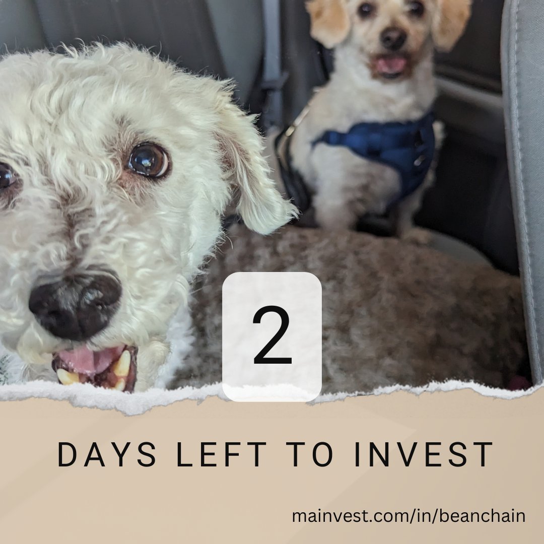 David Baxter (@davidbaxter30) on Twitter photo <a href="/BeanChain/">BeanChain Coffee</a> has surpassed our 35k investment minimum!
With 36k raised and 67 local investors we are still accepting investment!
Please share or invest now!
mainvest.com/in/beanchain
#investLocal #InvestInCoffee #CoffeeLovers #Sustainability #CoffeeCommunity #Grateful <a href="/BeanChain/">BeanChain Coffee</a> has surpassed our 35k investment minimum!
With 36k raised and 67 local investors we are still accepting investment!
Please share or invest now!
mainvest.com/in/beanchain
#investLocal #InvestInCoffee #CoffeeLovers #Sustainability #CoffeeCommunity #Grateful