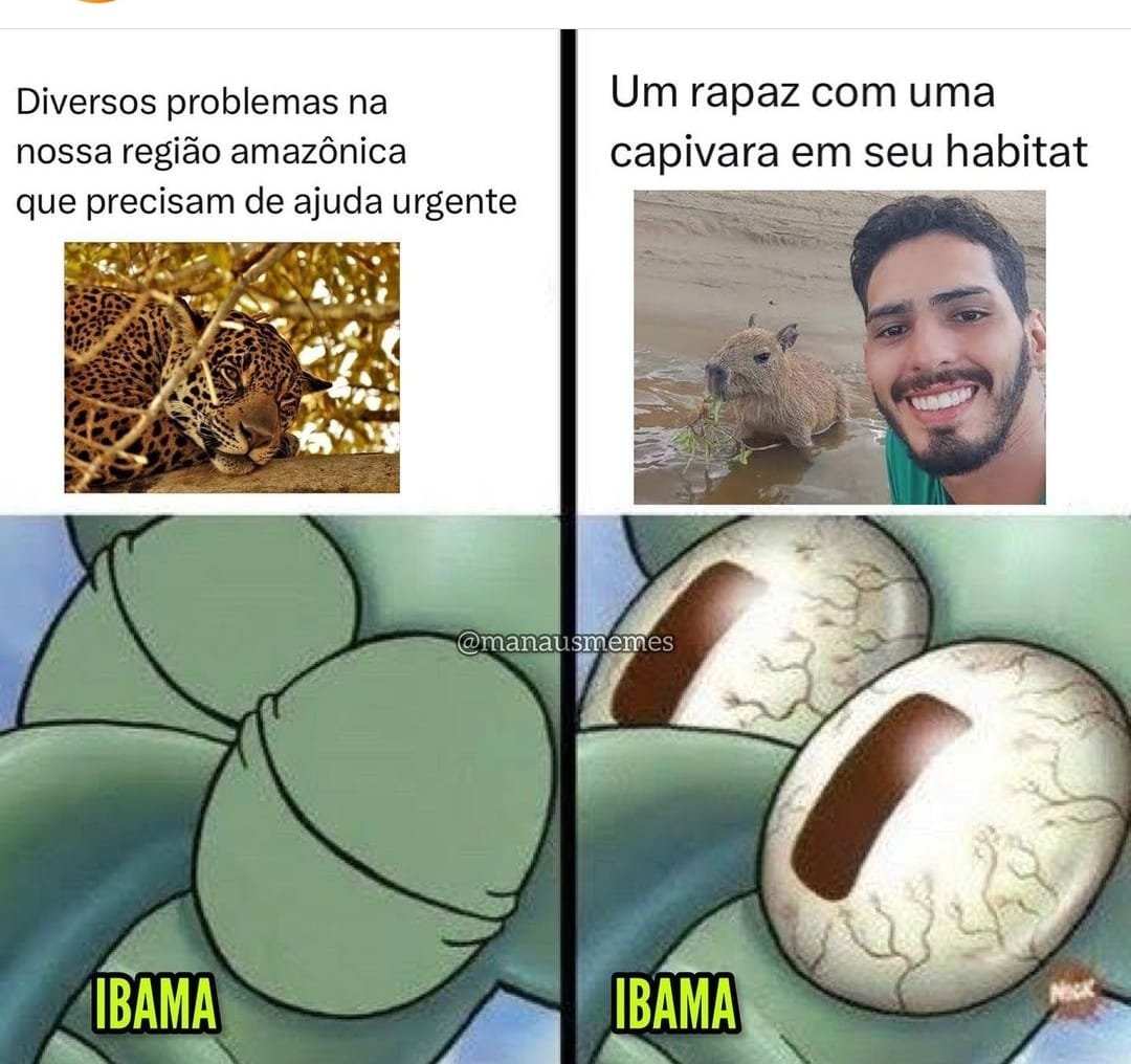 stuartdois's tweet photo. Prenderam o cara por postar vídeos brincando com a capivara... https://t.co/iNpUVguM0M
