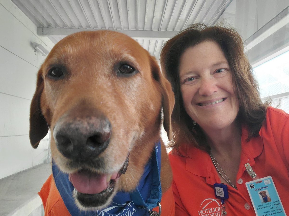 iah's tweet photo. We appreciate the time our volunteer dog handlers spend with us each week. They're why we have so many great opportunities to pet dogs at the terminals.

Thank you #IAHTherapyDogs team!

#NationalVolunteerWeek https://t.co/t3amlsM07j