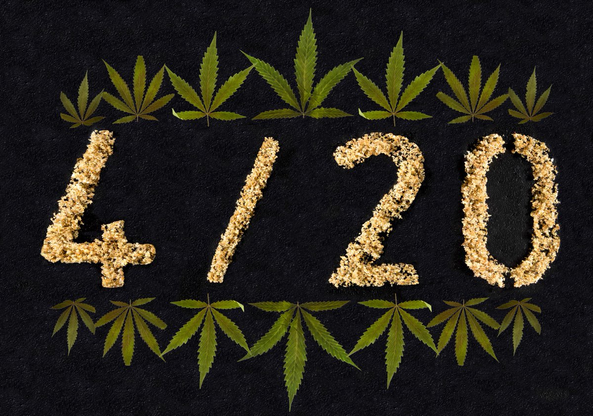 KodedBugz's tweet photo. 4/20 drop 👀 1st time #Tezos #Mint

🌬️Trichrome time of year 🌬️

#420 editions

0.42 $XTZ each

Lenk 👇
https://t.co/N7AG8aQTI7

#420NFT #420ART #Macro #macrophotography #trichromes #Pistils #Tezos #TezosNFTs #tezoscommunity https://t.co/RBuUmUP8Qi