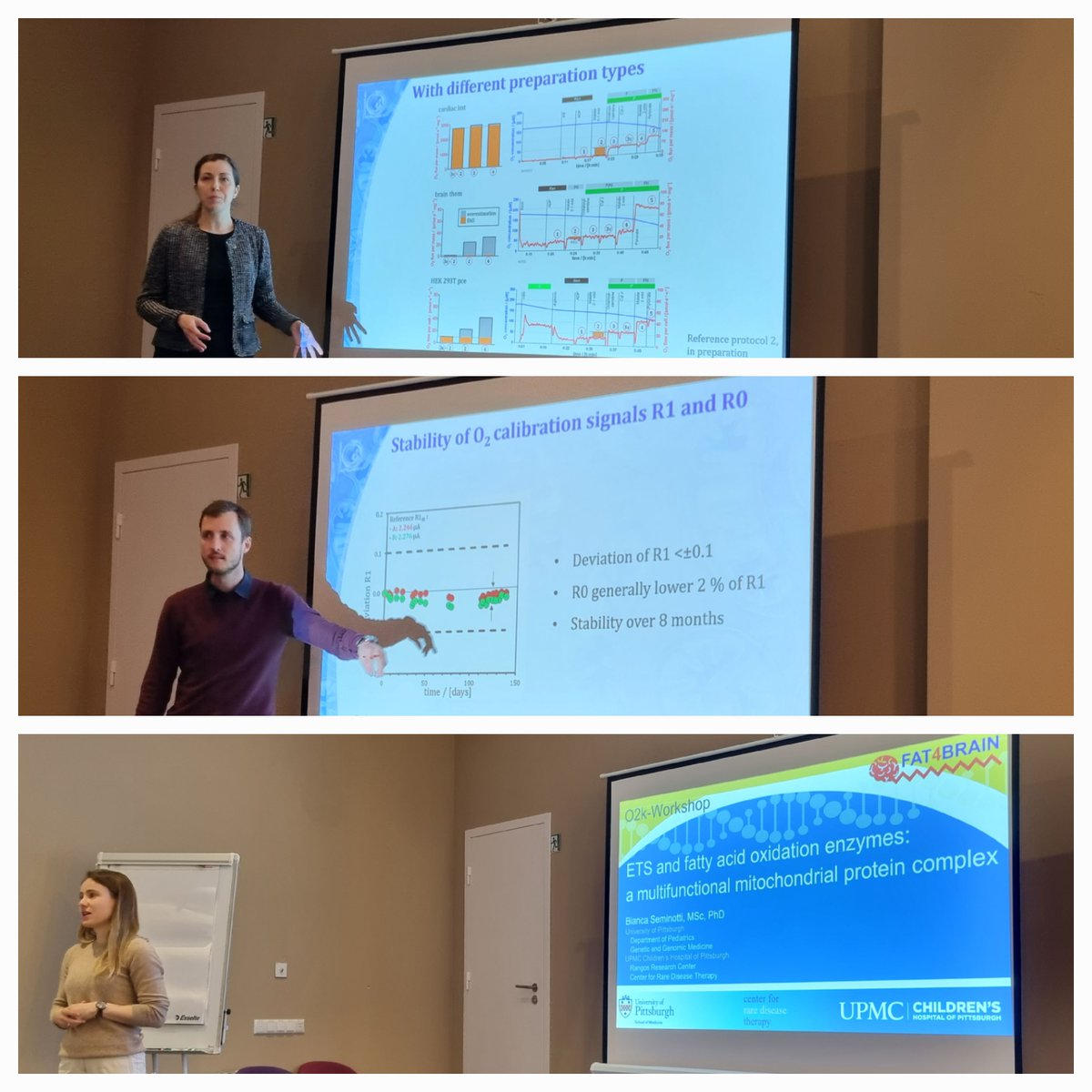 fat4brain tweet media