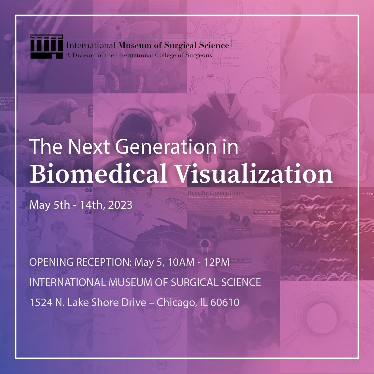 Join us for the opening of The Next Generation in Biomedical Visualization show at the International Museum of Surgical Science. Come see amazing works by our talented graduating class!

Please RSVP through Eventbrite for free entry. Find the link in our bio.