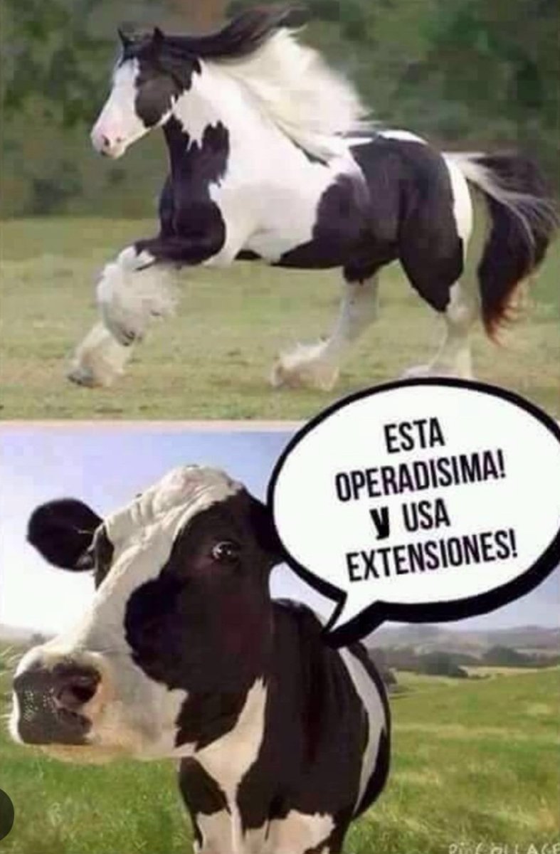 plariguani's tweet photo. #tardeDeHumor 😂
No todos los días son buenos, pero siempre hay algo bueno en cada día.😉
#ConstruyendoGanadería
#LaCulpaNoEsDeLaVaca #OrgullosamenteGanaderos
#DerribandoMitos
@Fedegan @FngFedeganPlato @jflafaurie @PLBarraquilla @Comganas2013 https://t.co/hBua26kwMe