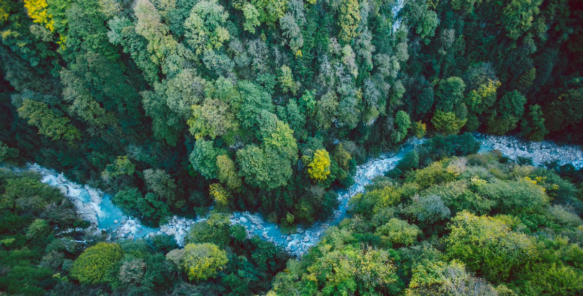 UN Biodiversity (@unbiodiversity) on Twitter photo Fact: #forests mitigate #climatechange by taking up #carbon while growing and storing carbon in living #trees, bushes, and other #plants, dead #wood and soil🌲🌿
bit.ly/3o4VPaX
Via <a href="/UNECEForests/">UNECE Forests</a> Fact: #forests mitigate #climatechange by taking up #carbon while growing and storing carbon in living #trees, bushes, and other #plants, dead #wood and soil🌲🌿
bit.ly/3o4VPaX
Via <a href="/UNECEForests/">UNECE Forests</a>