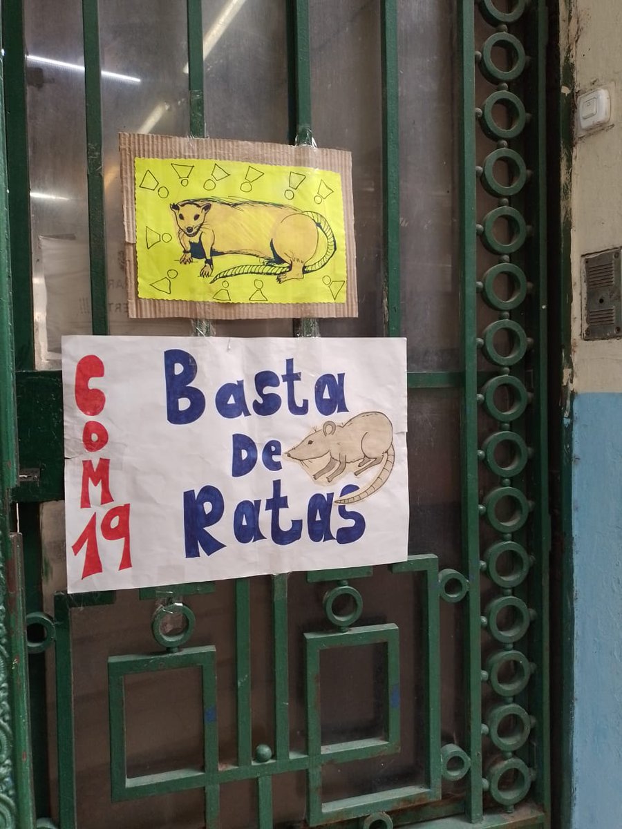 AdemysPrensa's tweet photo. ⚠️ *Ratas en el Comercial 19*
❗Nuevamente, como en tantas escuelas, la docencia tiene que organizarse para exigir algo tan básico como no convivir con ratas dentro de las instituciones escolares, dado que esto evidentemente puede afectar la salud de estudiantes y trabajadorxs. https://t.co/bKYO0f3u6u