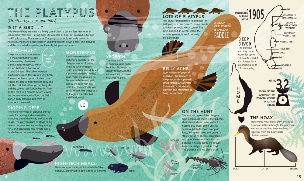 UN Biodiversity on Twitter "Dive into the fascinating world of