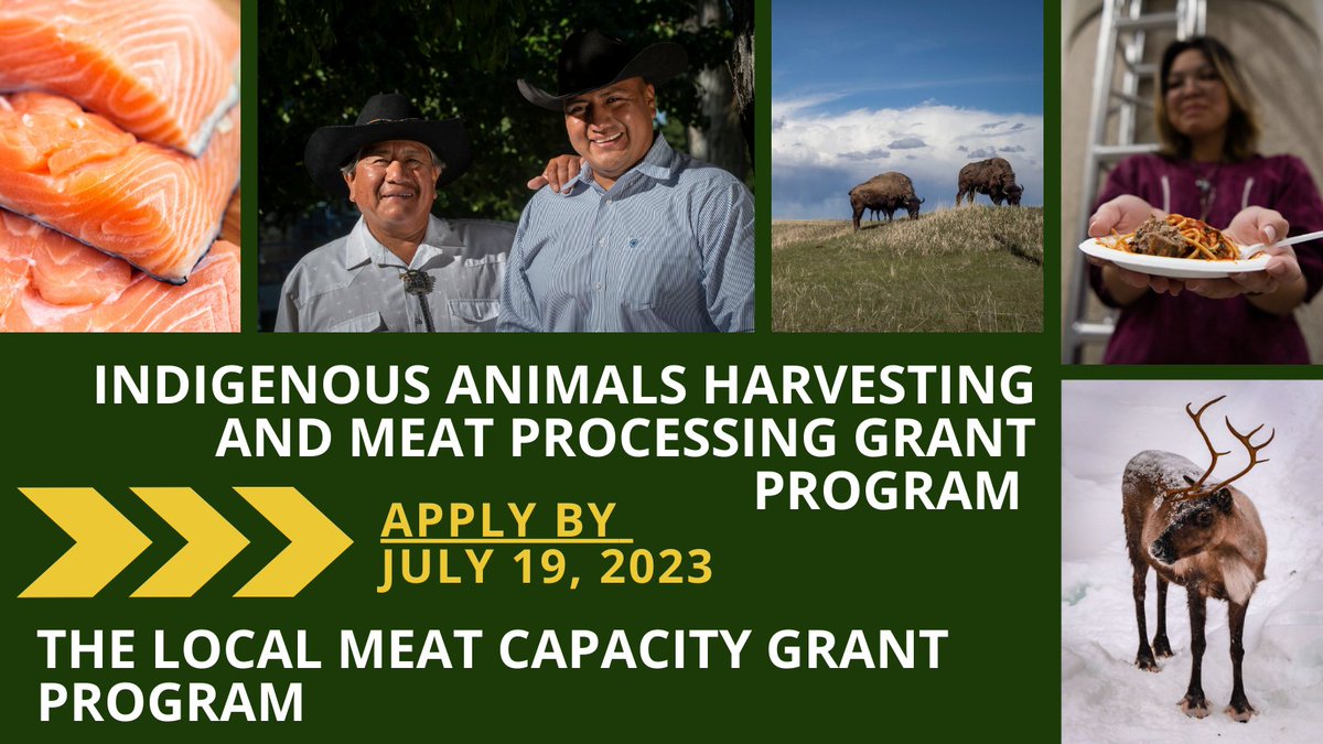 USDA_AMS's tweet photo. Today, @USDA announced up to $125M to expand meat & poultry processing options for producers & tribal communities through two new grant programs - the Indigenous Animals Harvesting and Meat Processing Grant Program and the Local Meat Capacity Grant Program https://t.co/DHAOpLpCnd https://t.co/KXVanp87ih