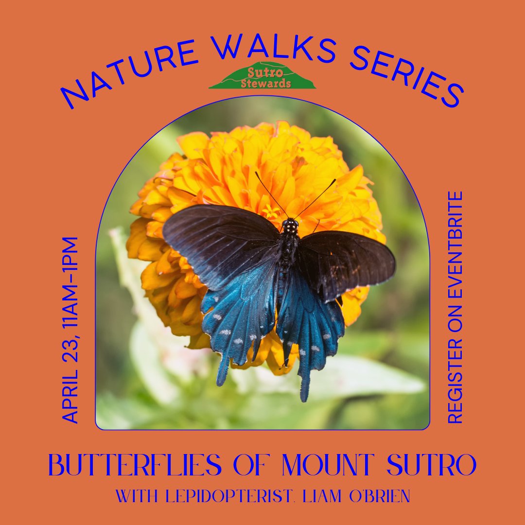 Sutro Stewards tweet media