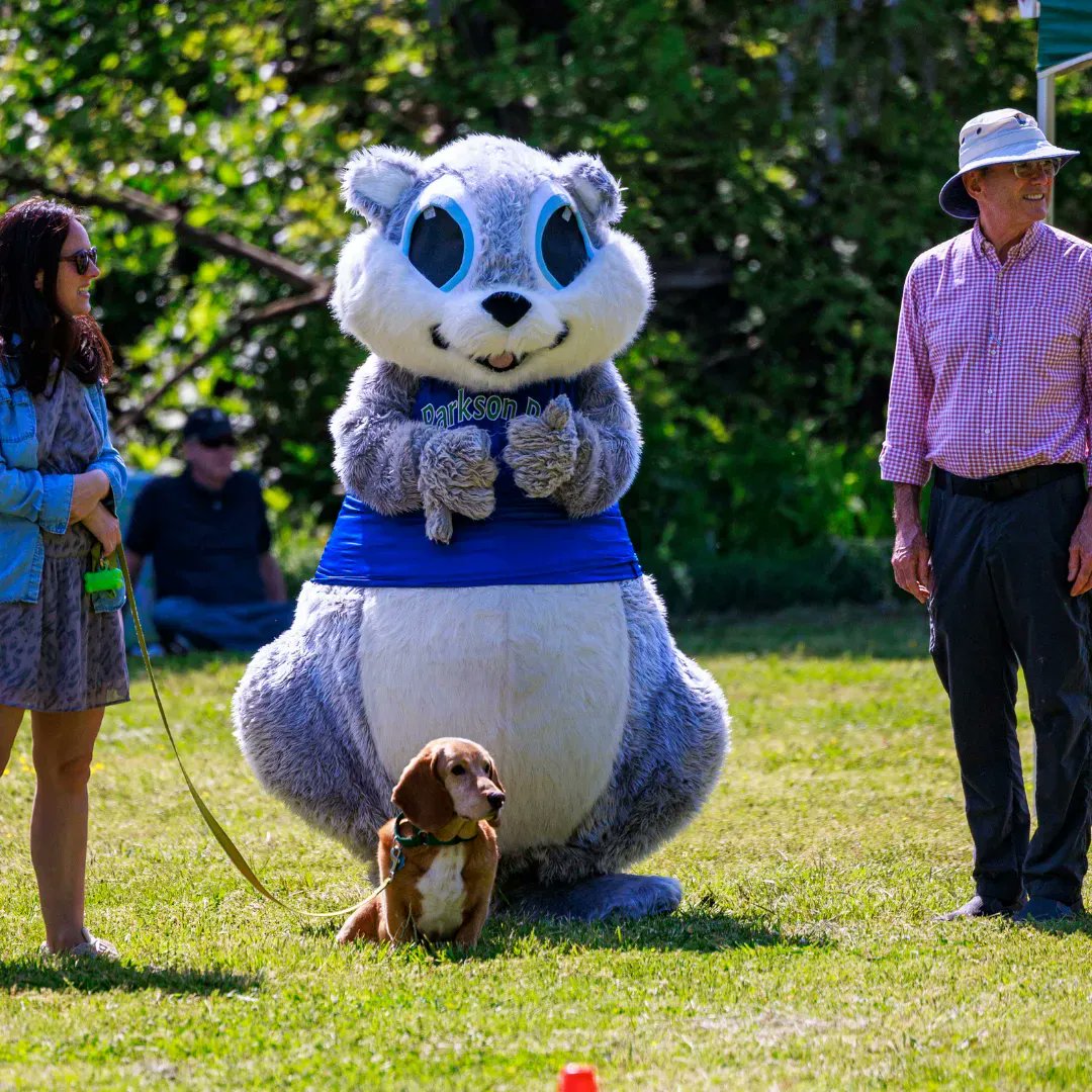 Make sure you bring all of your 'dawgs' 🐶 to Canine Field Day Saturday, April 29! Join DPR's Canine Recreation team at Rock Quarry Park from 10 a.m. to 2 p.m. 

Learn more🔗: buff.ly/2uiVD8U 

#CanineFieldDay #DogLoversUnite #PuppyPlaytime #DogShow #AgilityCourse