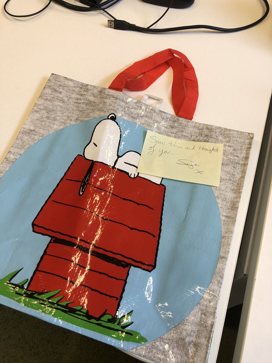 Jane_Arthur_'s tweet photo. I work with the kindest people #lucky #knowmesowell  #snoopy daft ❤️🐾 love my new bag 🤣🤣🤣 thank you 🙏 https://t.co/WiCg7MlNfB
