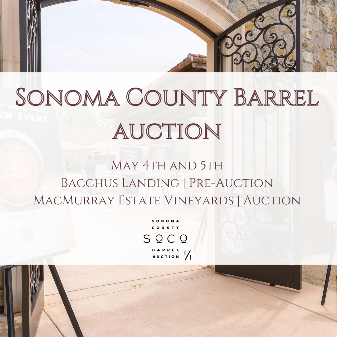 SchugWinery's tweet photo. ✨ Wine trade family: Join us May 4-5 at #SoCoBA to bid on our Never Before, Never Again Sonoma County Wine
Auction lot!
🔸Trade registration is now open at https://t.co/WG4EaVZyIj
🔸Find Schug's unique lot here: https://t.co/lYRRyMXnzC
#sonomawine #sipsonoma #SchugWinery https://t.co/f9PRt1hroi