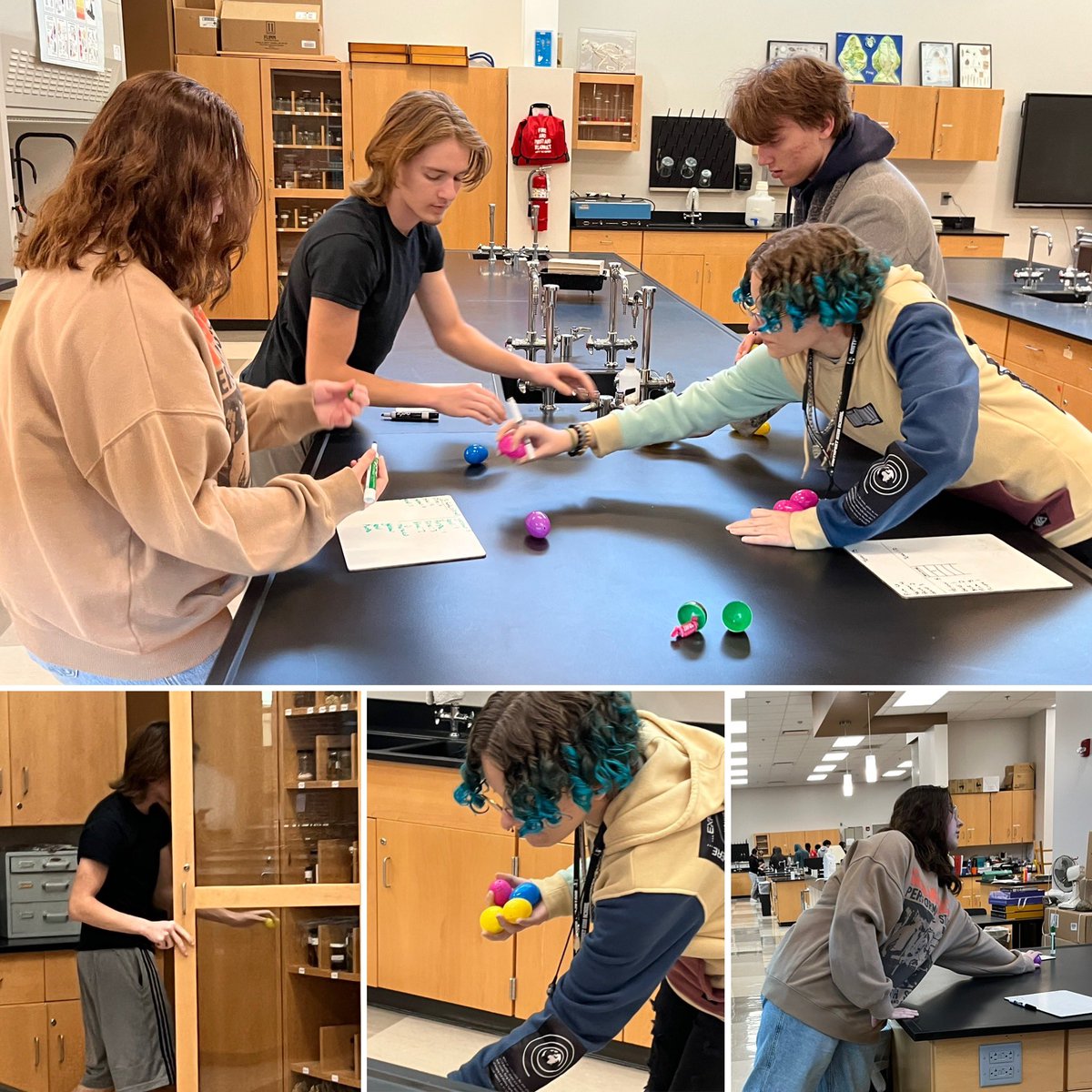 AP students used the mark and recapture technique to estimate the size of a plastic egg “population.”