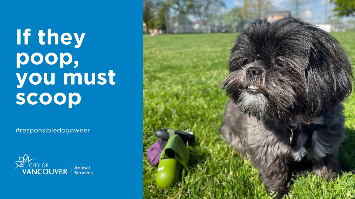 CityofVancouver's tweet photo. Did you know in Vancouver you can be fined $250 for leaving your dog’s waste behind 🐶
Be a good dog owner and neighbour – paw-lease pick up after your dog 👍
➡️ https://t.co/HUnju6eFdH
#yvrdogs #responsibledogowner https://t.co/KY9iYRklgY