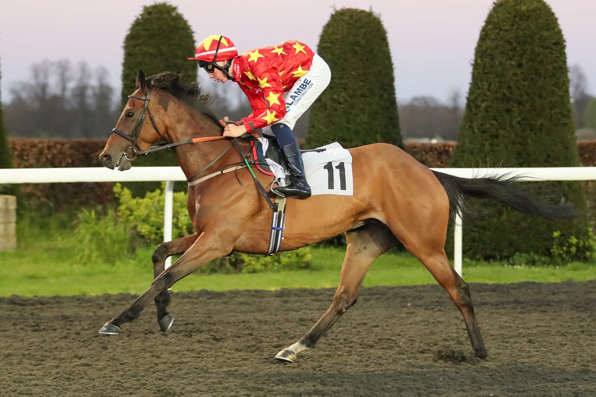 loughnane_billy's tweet photo. Agapanther makes all to win the penultimate at Kempton in style for Heather Main ๐
#BL #Winner46 https://t.co/DJJcvopegZ