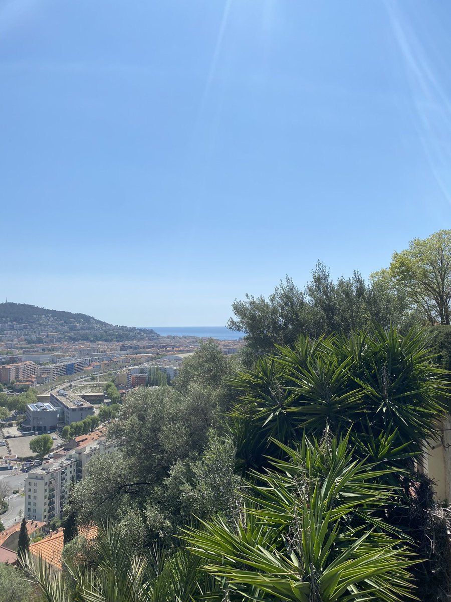 Nicole de B tweet media