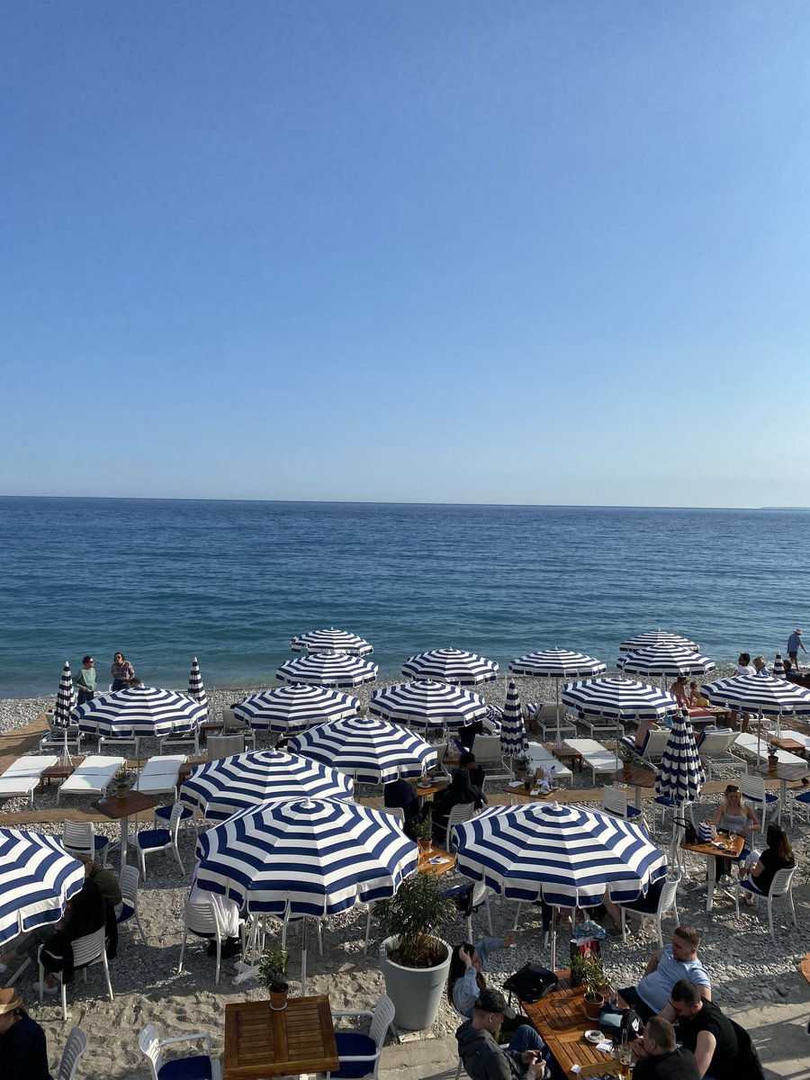 Nicole de B tweet media