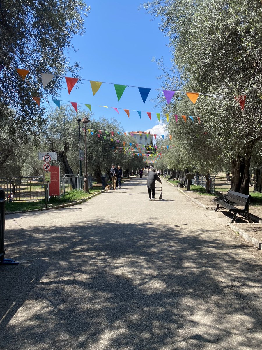 Nicole de B tweet media