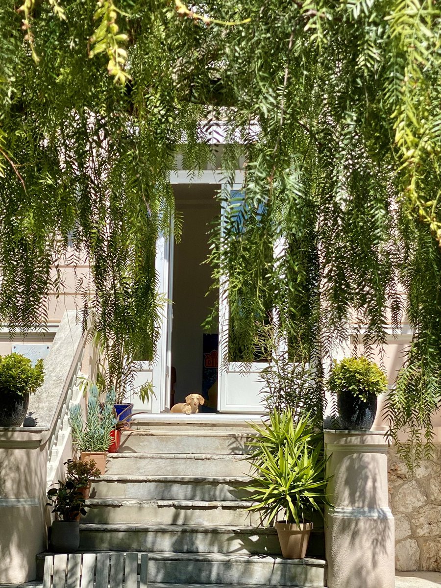 A jam-packed day in Nice basking in sunshine, visiting all the museums, touching the Med, and petting all the dogs