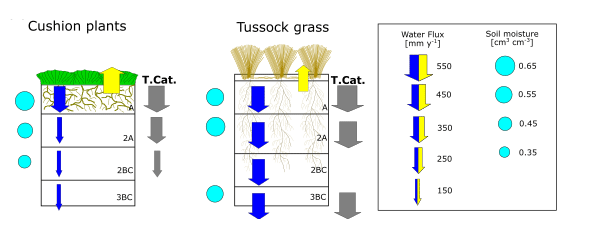 Veerle Vanacker tweet media