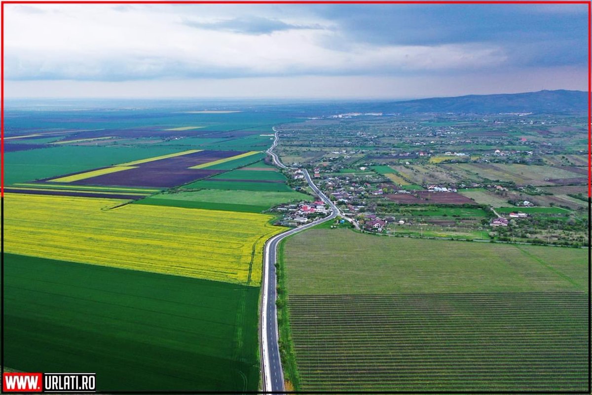 URLATI's tweet photo. Drumul Vinului 🍷

Cu stimă,
Echipa https://t.co/AIpv0kVHUV
#URLATI
#OrasulDintreVii
#DrumulVinului https://t.co/Nsqv1L8M4v