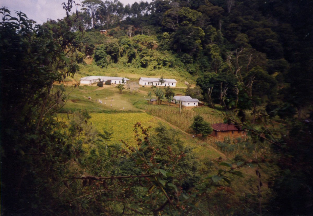 Rhymes With tweet media