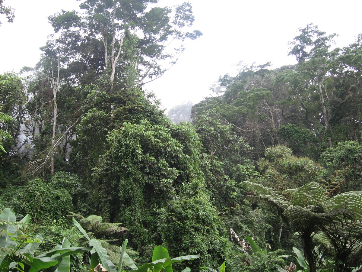 Rhymes With tweet media