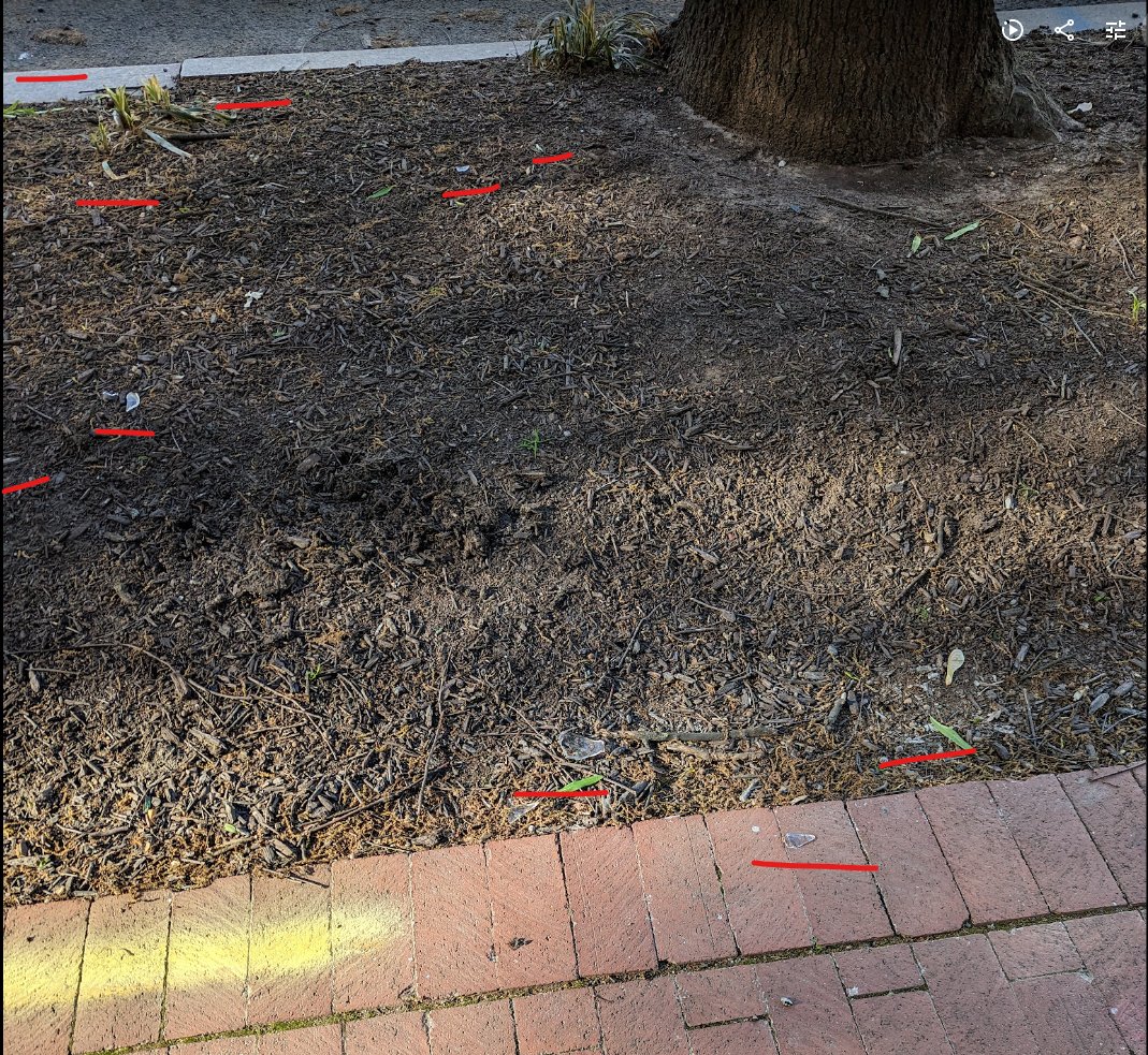 dbg300's tweet photo. @dcwater, your crew was working on a street near me and left all their trash, including broken glass bottles, on the sidewalk and tree boxes. Please send someone to clean it at 77 P St NE. Thanks! https://t.co/nkqRmFYvoh