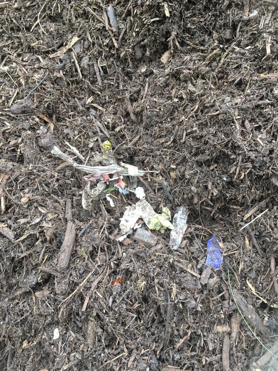 Pip A'Ness tweet media