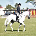 Photo by Off The Track Horses (@otthorses)